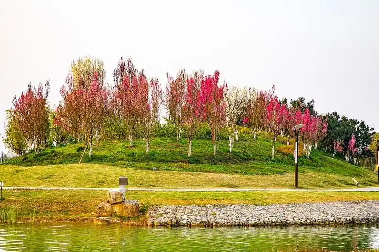 中国贵州贵阳市贵安新区月亮湖公园风光图片下载