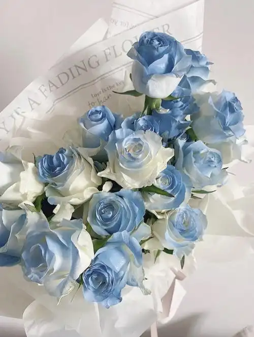 满味园鲜花速递同城配送密西根碎冰蓝白双色玫瑰花束生日礼物高端创意