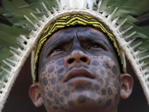 几十个部落代表在自己的脸部画满了彩绘,乞求他们生活了几个世纪森林