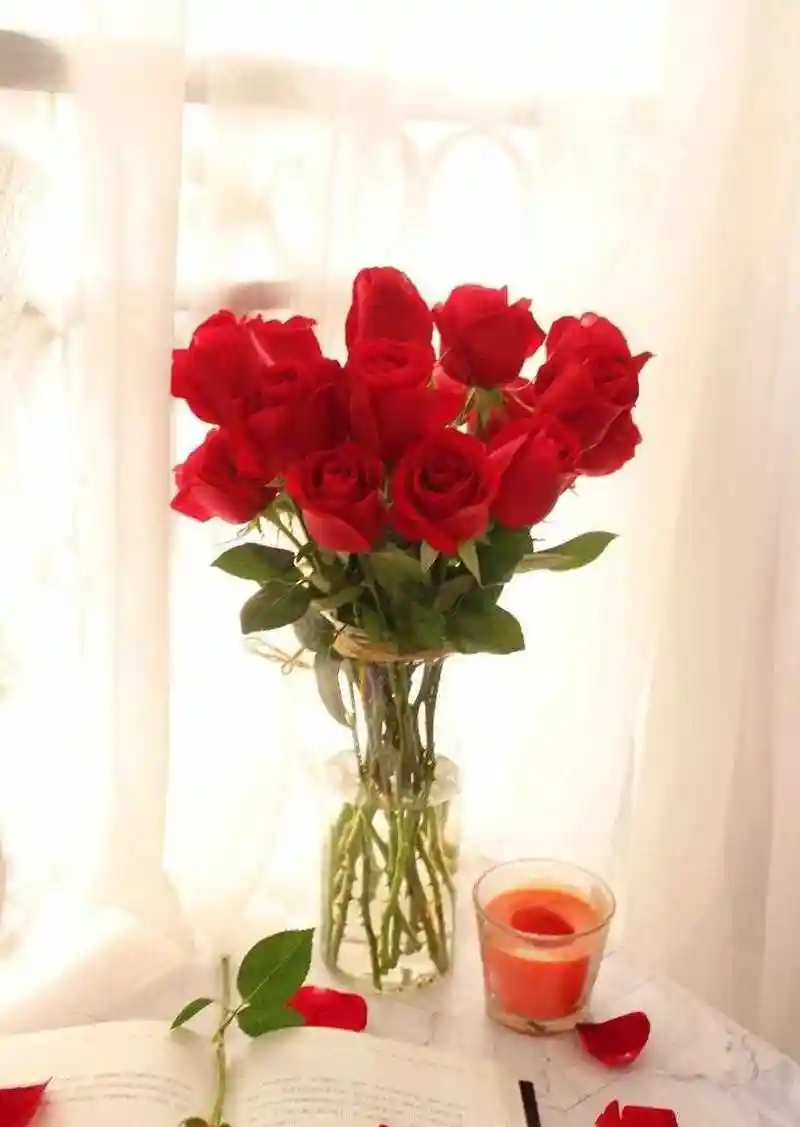 好看的鲜花(好看的鲜花壁纸图片)