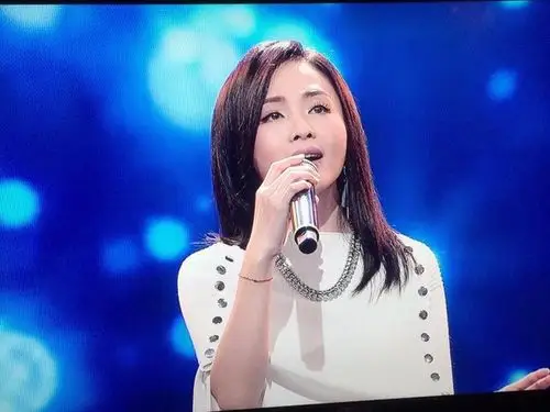 吴淑敏自愿被父家暴 「集点验伤单」只为让妈离婚