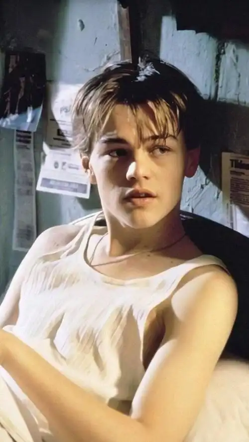 小李子的神颜 - 堆糖,美图壁纸兴趣社区