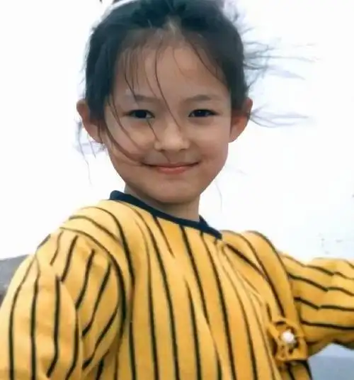 刘亦菲好看,杨幂也好看,但和章子怡却没法比|倪妮_网易订阅