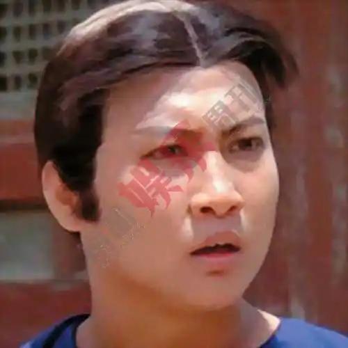 洪金宝:想再创武侠电影高峰(图)