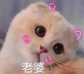 撒娇卖萌表情包合集|好讨厌啊