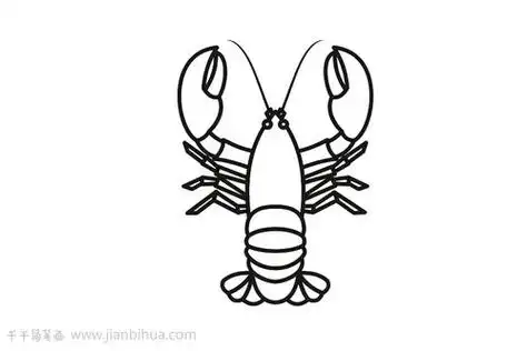 龙虾简笔画图片,龙虾简笔画 儿童画