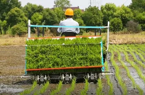 久保田spv6ad高速插秧机