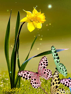 240_320竖版 竖屏gif 动态图 动图