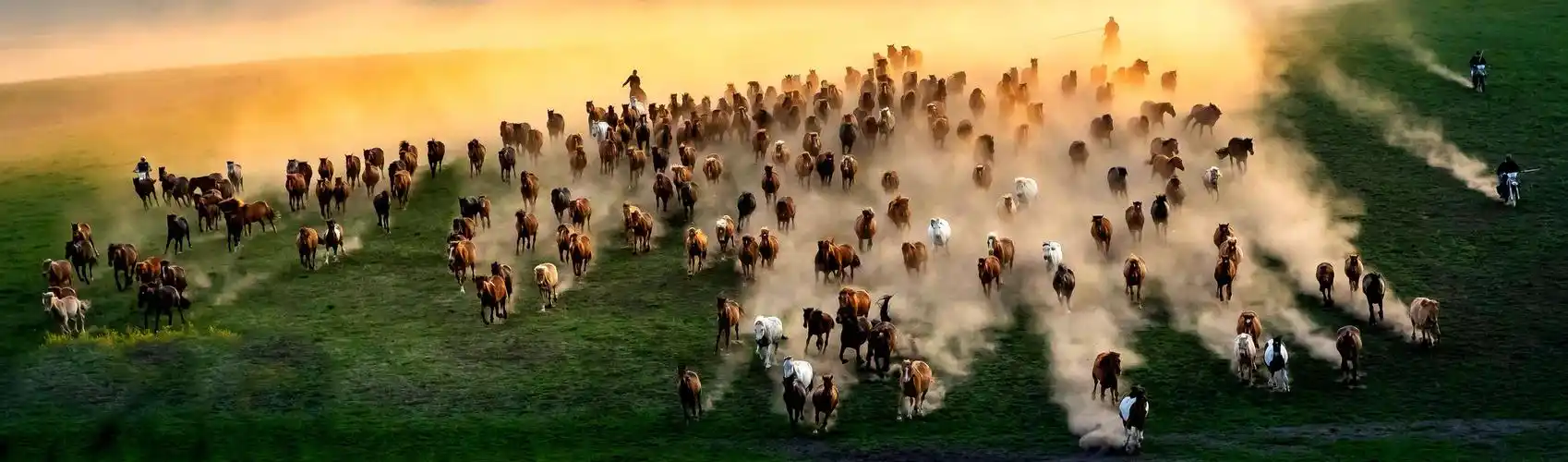 骏马奔驰在草原上