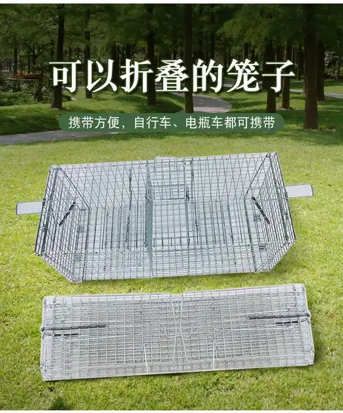 捕鸽神器全自动捕鸽子笼天落笼只进不出抓鸽子笼户外双机关逮鸽笼小号