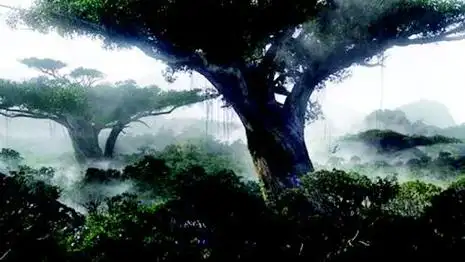 树下 茶余饭后 《阿凡达》观影记