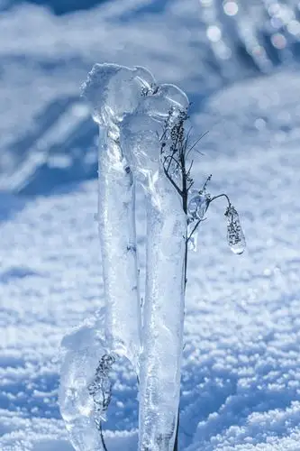 吉林冰挂绝天下 冬景奇观冠中华