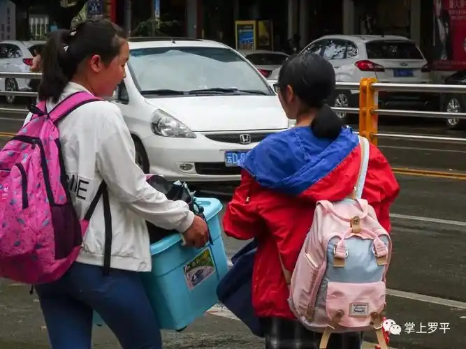 实拍罗平学生开学场景