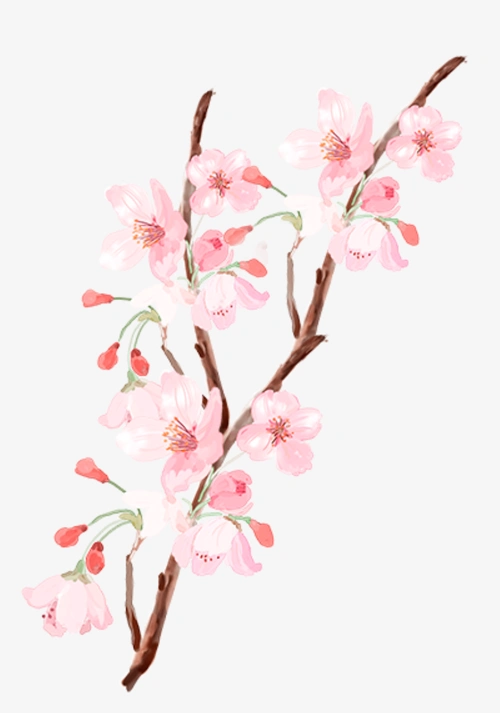 手绘古风清新粉色桃花