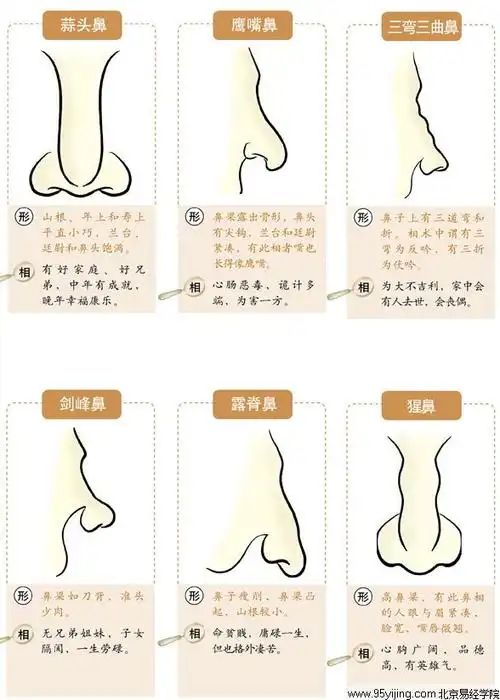 面相:鼻子是装钱的口袋哦