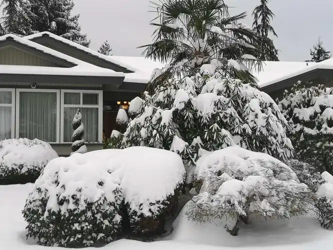低温,地面积雪,呈现冰天雪地,天寒地冻的严寒景象.