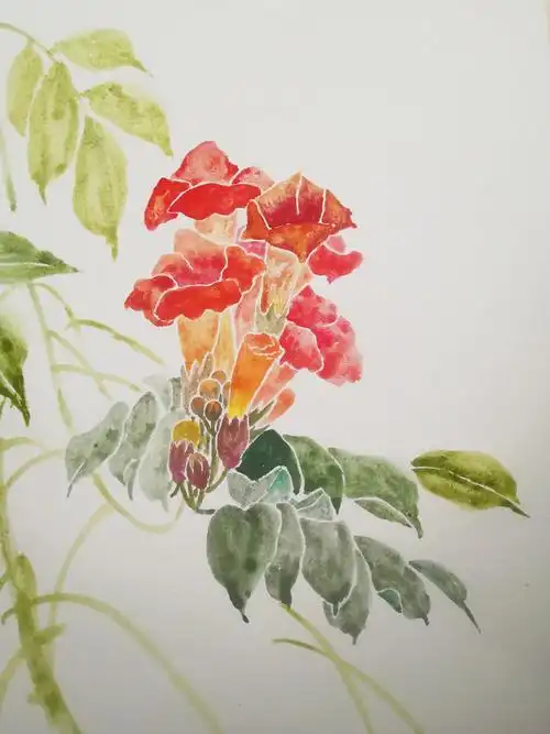 冯泊美术馆凌霄花写生