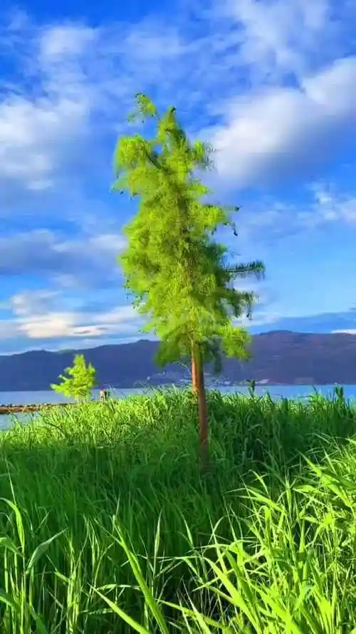 艳阳高照,风景这边独好!