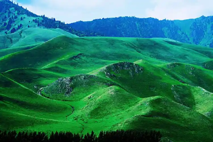 正面对着那拉提草原,这个草原是世界四大草原之一,成吉恩汉的军队路过