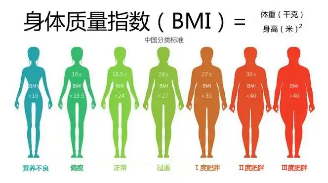 bmi指数男女标准