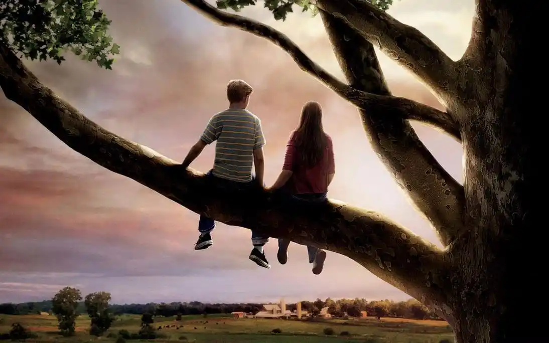 [怦然心动] 最喜欢的两个片段_哔哩哔哩 (゜-゜)つロ 干杯~-bilibili