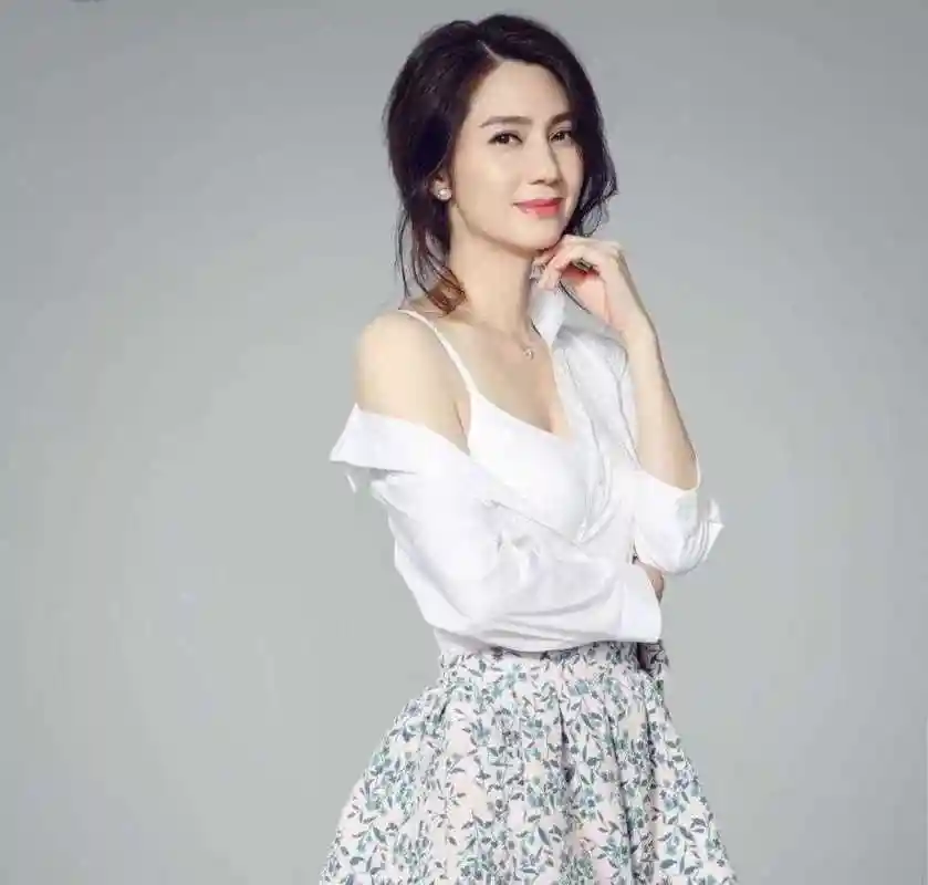 洪欣个人资料和简历,洪欣演过的角色