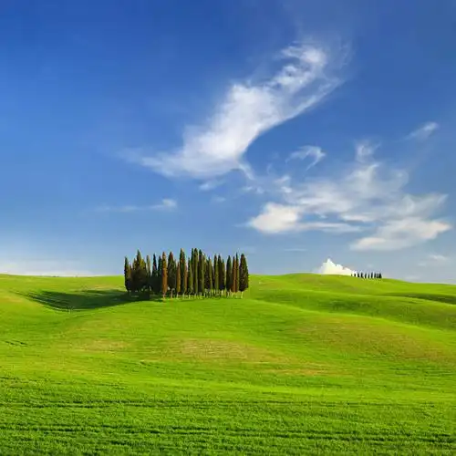 云,云朵,辽阔,地面,云彩,娱乐,草,蓝色,绿色,白云,蓝天,天空,阳光