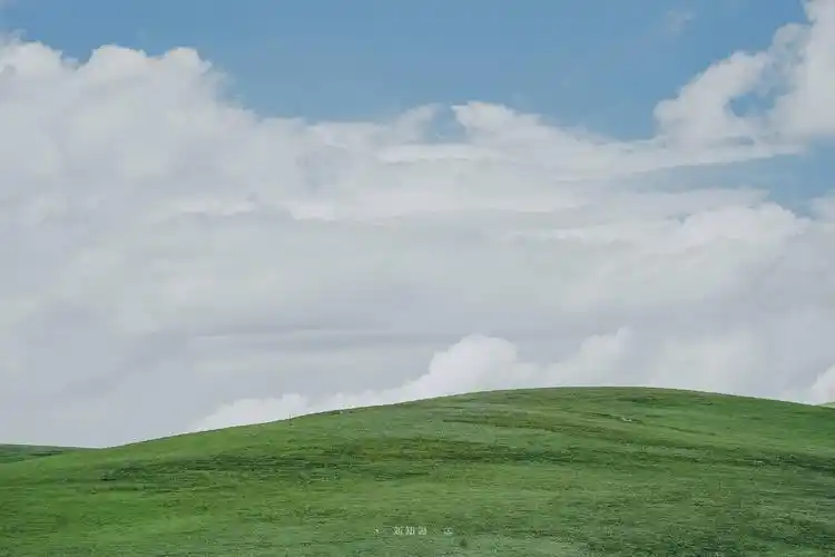 电脑壁纸明天也是个好天气