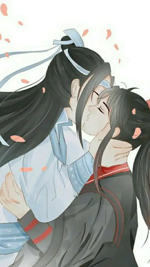 魔道祖师忘羡夫妇