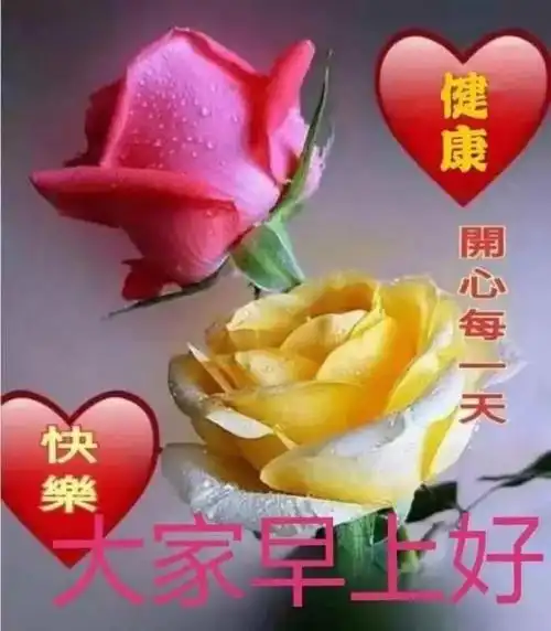 免打字温馨的夏天大家早上好问候语图片精选|爱情|好心情_网易订阅