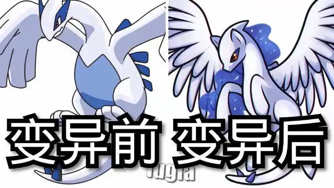 宝可梦变成小马宝莉喷火龙霸气洛奇亚无违和感他让人没脸看