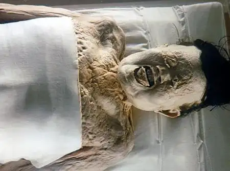 马王堆千年女尸的不朽之谜 马王堆辛追夫人古尸