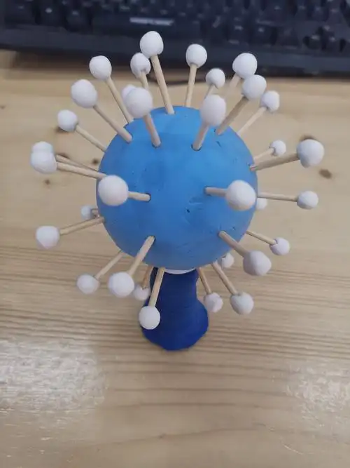 生物模型优秀作品展示