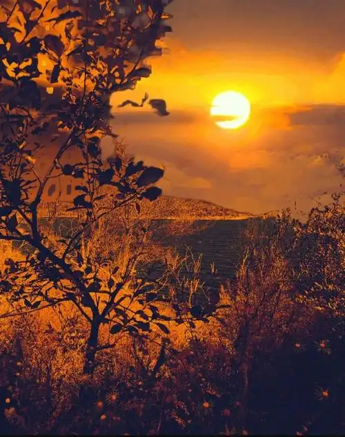 修心养性,崛起人生