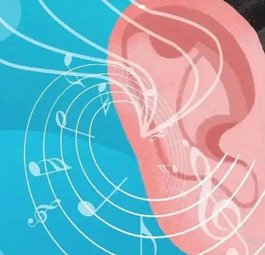 关爱听障群体,你的听力还好吗_声音_耳朵_习惯