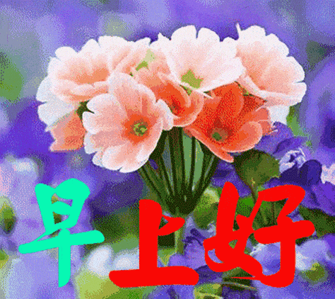 微信群发早上好鲜花动态表情图片,新版早晨好暖心问候语大全_祝福