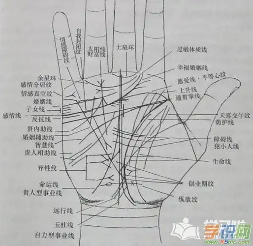 感情线十字纹手相解说