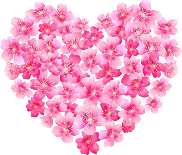 心形鲜花图片大全