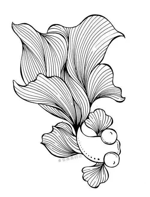 9张线描创意小金鱼用普通的笔画出超精美的画作美醉了