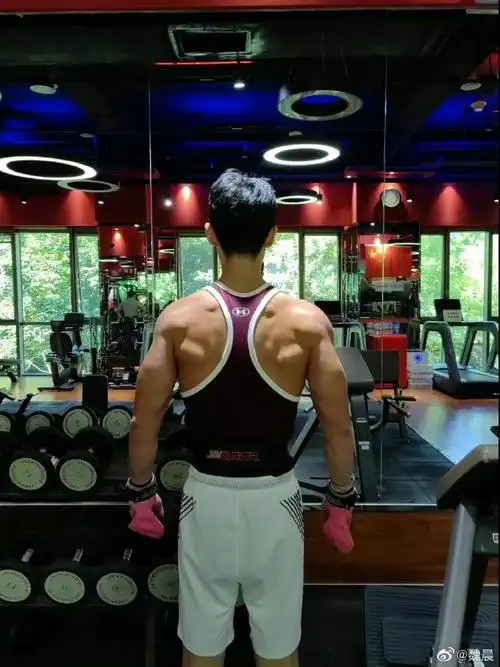 魏晨晒健身背影照告别九月##魏晨告别九月plog