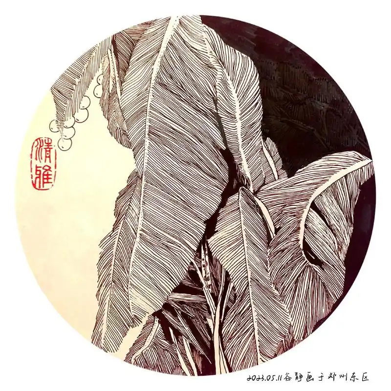 线描芭蕉叶#原创作品 #黑白线描画 #感受国画的意境之美 # - 抖音