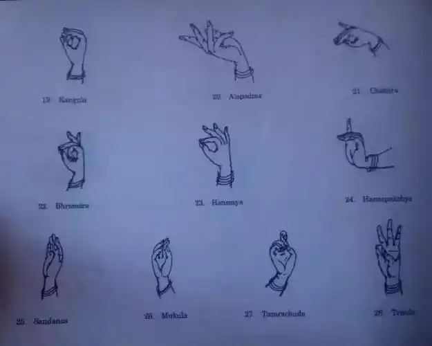 手势的舞美: 舞蹈手势的表达很重要,不同的手势动作也会有区别,平时