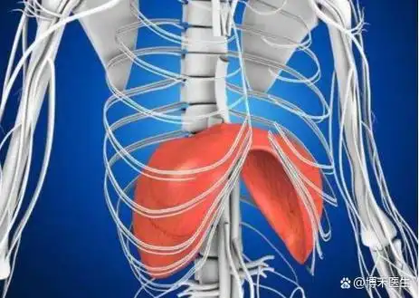 左肋骨下方隐隐疼痛是什么原因