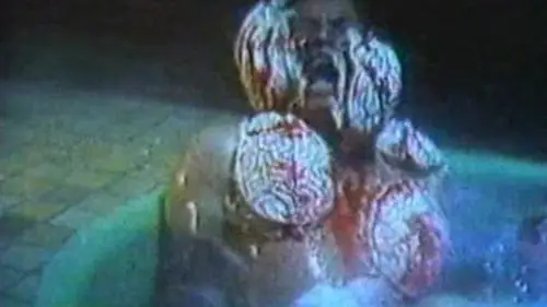 原创10部港产降头电影你所不知道的油鬼蛆虫蜈蚣脑魔能样