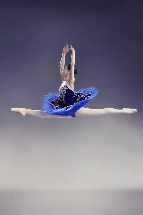 舞蹈世界舞者一则