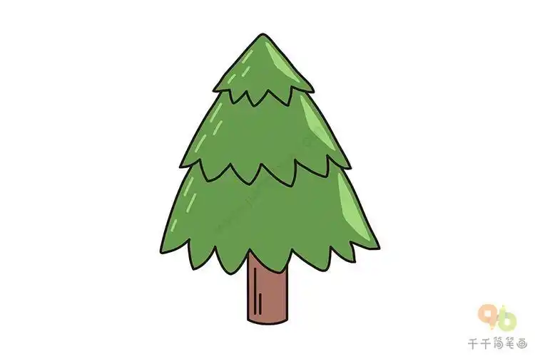 大柏树的简笔画