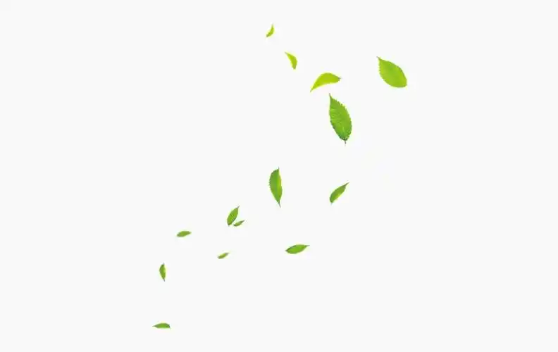 树叶 绿叶飘落 ppt装饰图