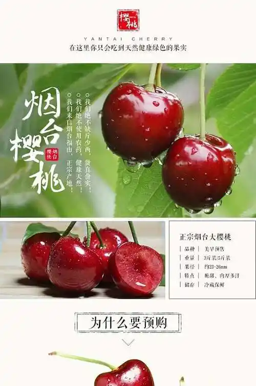 烟台樱桃车厘子樱桃电商详情页