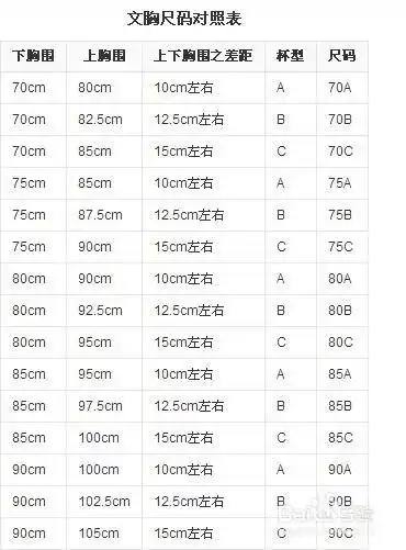 怎么区分女性胸围abcd杯