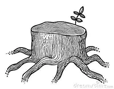 树木纹理简笔画